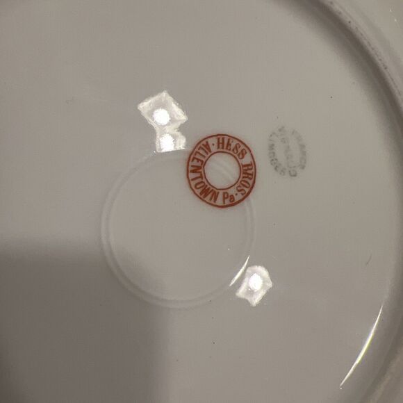 Vignaud VIG86 Limoges Set of TWO Salad Plates, 7 1/2" Hess Bros. PRISTINE! - Picture 5 of 6